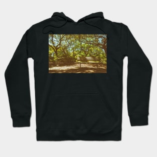 Pulaski Square Bench Savannah Hoodie